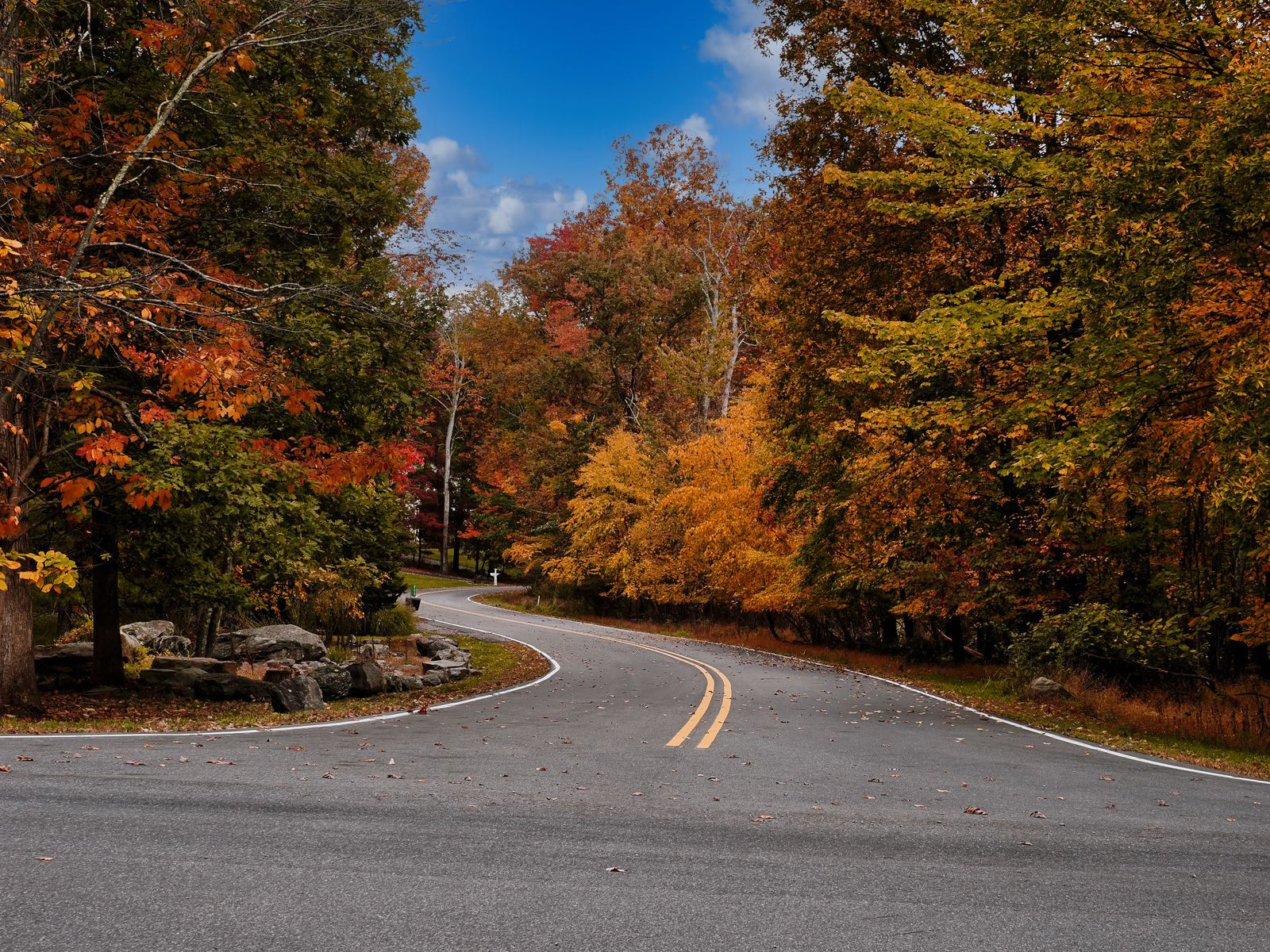 A winding road through orange and red fall foliage near East Stroudsburg in the Poconos
